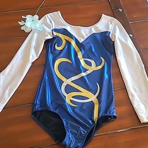 Girls Long Sleeve Shiny Gymnastic Leotards  size 12.